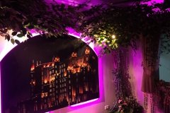 LED-effects (33)