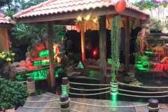 LED-effects (35)